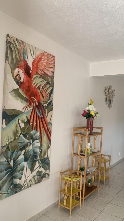 villa des aigles Anse-Bertrand Extérieur photo